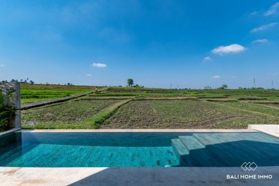 Image 3 from Vila Modern 2 Kamar Berpemandangan Sawah Hijau yang Memukau Dijual di Cepaka