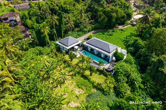 Image 3 from Villa moderne de 4 chambres avec jardin spacieux à vendre en leasehold à Bali Ubud