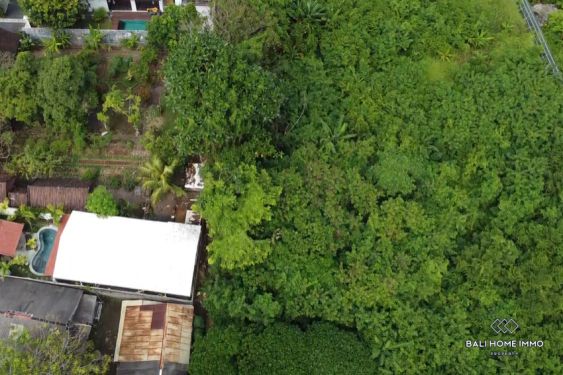 Image 3 from Dijual dan disewakan tanah 4.5 are di Bali Sanur dekat pantai Mertasari