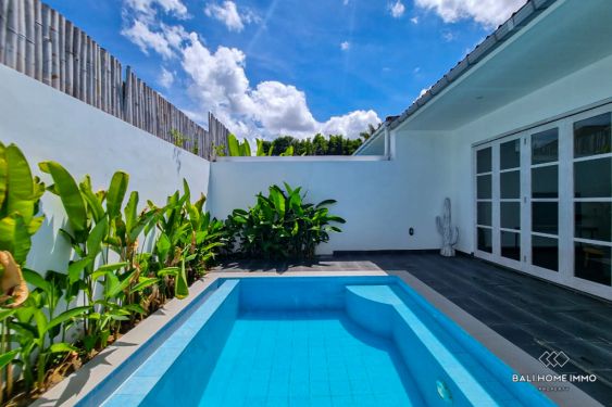 Image 2 from Newly Renovated 1 Bedroom Villa for Sale Leasehold in Bali Umalas