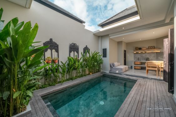 Image 3 from Newly Renovated 2 Bedroom Villa for Sale Leasehold in Bali Umalas