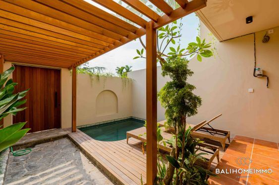 Image 3 from Villa neuve de 2 chambres à vendre en bail à Bali Canggu