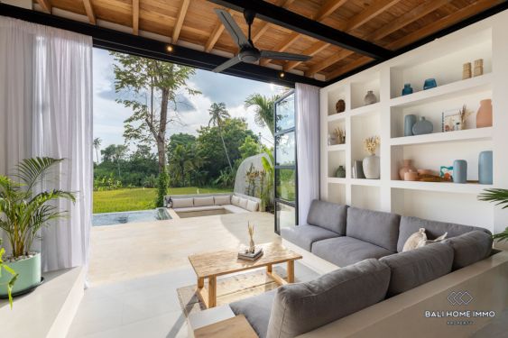 Image 3 from Vila baru 2 Kamar  Disewakan Jangka Panjang di Bali Kaba Kaba