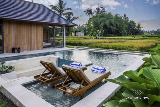 Image 2 from Villas sur plan de 2 chambres à vendre à bail à Bali Ubud