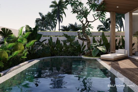 Image 2 from OFF PLAN 3 BEDROOM LUXURY VILLA WITH SAUNA FOR SALE FREEHOLD NEAR BALANGAN BEACH