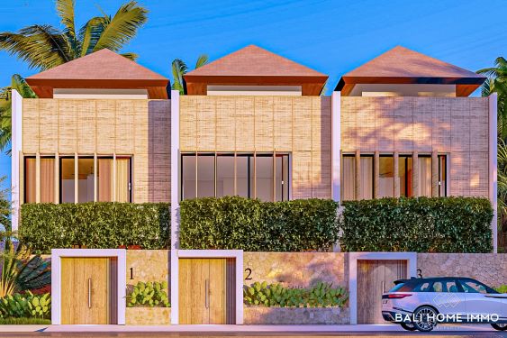 Image 3 from Brand New 3 Bedroom Villa for sale and rent in Bali Canggu