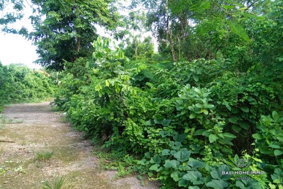 Image 2 from Peaceful Land for Sale Leasehold with Ocean View in Uluwatu