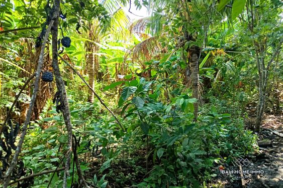Image 3 from RARE COMMERCIAL STREET FRONT LAND FOR SALE LEASEHOLD IN BALANGAN