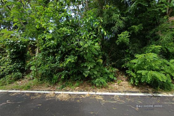 Image 3 from Residential Zoning Land for Sale Leasehold in Uluwatu Ungasan