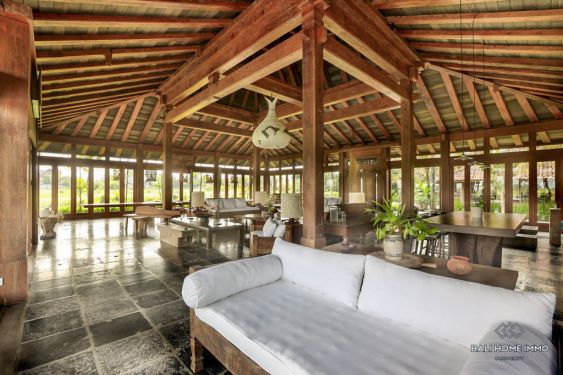 Image 3 from Villa 2 Kamar Berpemandangan Sawah Disewakan di Bali Nyanyi