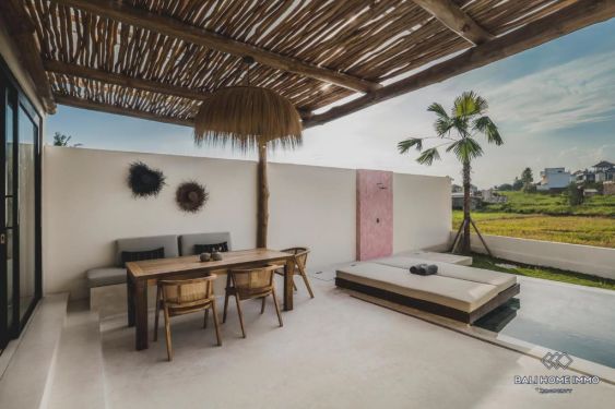 Image 3 from Modern 2 Bedroom Villa for Sale Leasehold in Bali Canggu Babakan