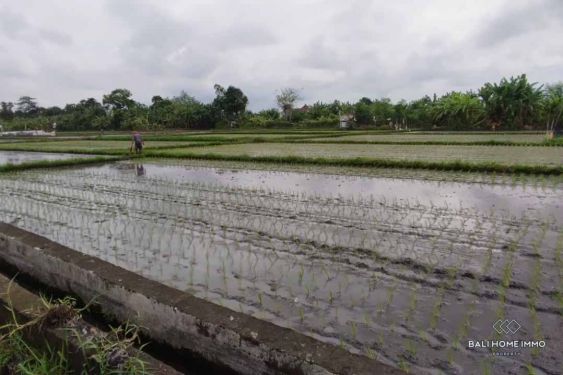 Image 3 from Ricefield View Land for Sale Leasehold in Bali Seminyak