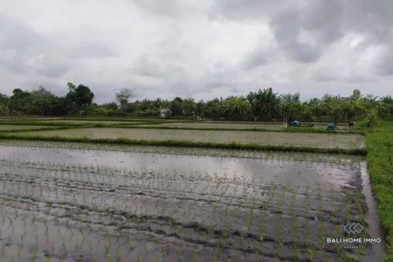 Image 2 from Ricefield View Land for Sale Leasehold in Bali Seminyak