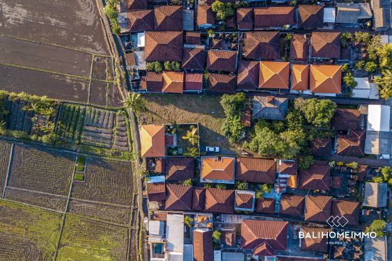 Image 3 from TANAH DIJUAL DENGAN PEMANDANGAN SAWAH DI CEMAGI