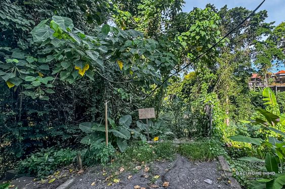 Image 2 from River & Jungle View land for sale leasehold in Bali - Tumbak Bayuh