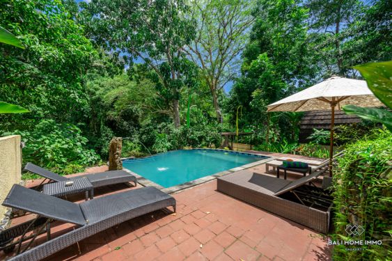 Image 3 from River View 5 Bedroom villa for Sale and Rent in Bali Ubud