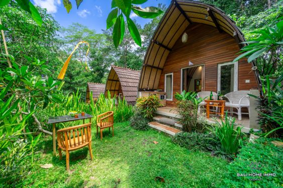 Image 1 from River View 5 Bedroom villa for Sale and Rent in Bali Ubud
