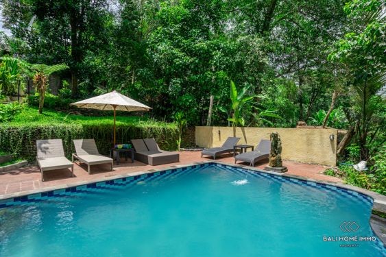 Image 2 from River View 5 Bedroom villa for Sale and Rent in Bali Ubud