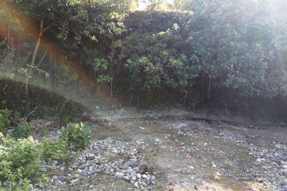 Image 2 from Tanah Perumahan Kavling Kecil Dijual Hak Milik dan Hak Sewa di Melasti