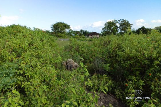 Image 2 from Small Plot Residential Land for Sale Leasehold in Pandawa