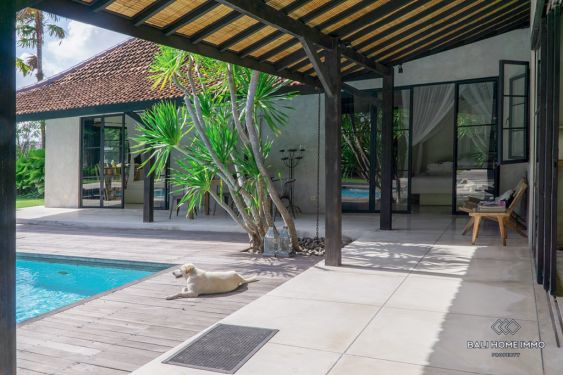 Image 3 from Villa Luas 3 Kamar Dikontrak Jangka Panjang di Canggu Berawa