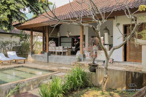 Image 2 from Spacious 8 Bedroom Villa for Sale Leasehold in Bali Seseh