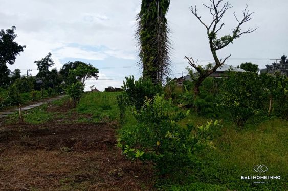 Image 3 from Land for sale freehold in Bali Munduk near Bedugul - Tamblingan Lake