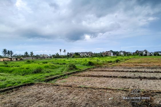 Image 2 from Street front 40 Are Land in Touristic Zone For Sale near Kedungu Beach Bali