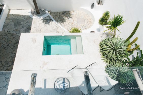 Image 2 from Stunning 2 Bedroom Villa for Monthly Rental in Bali Canggu Babakan