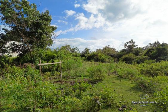 Image 3 from Stunning Touristic Zoning Land for Sale Leasehold in Balangan with Ocean Vieaw and Natural Serenity