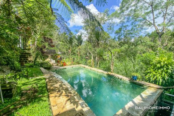 Image 2 from 5 Bedroom Villa for Sale Freehold in Bali Gianyar Tampak Siring